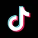 TikTok Electronics Repair Company - Example