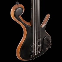 Xylem Basses & Guitars